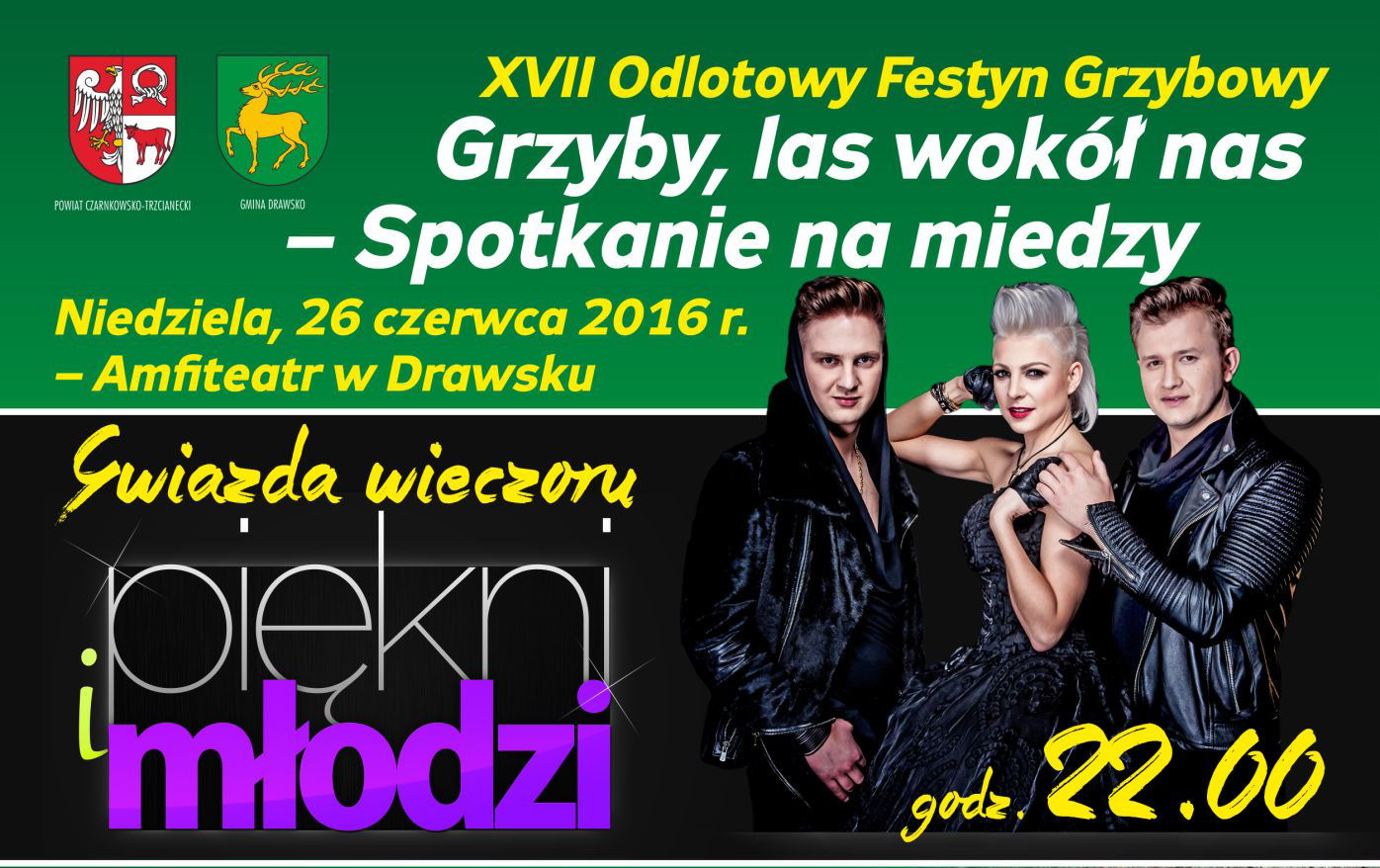 - plakat_miedza_2016_b2.jpg